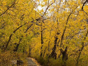 Convict Lake