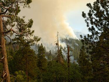 Sequoia and Kings Canyon
