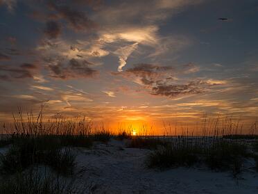 Orlando Anna Maria Island May 2018
