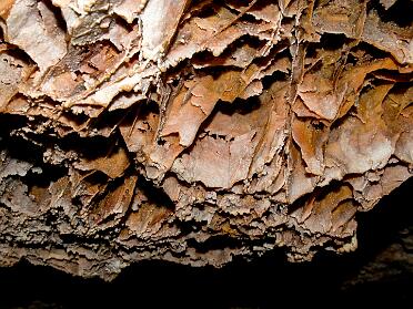 Wind and Jewel Caves